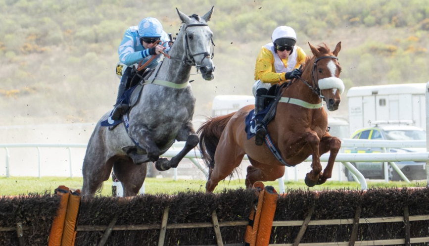 How Horse Ownership Syndicates Work