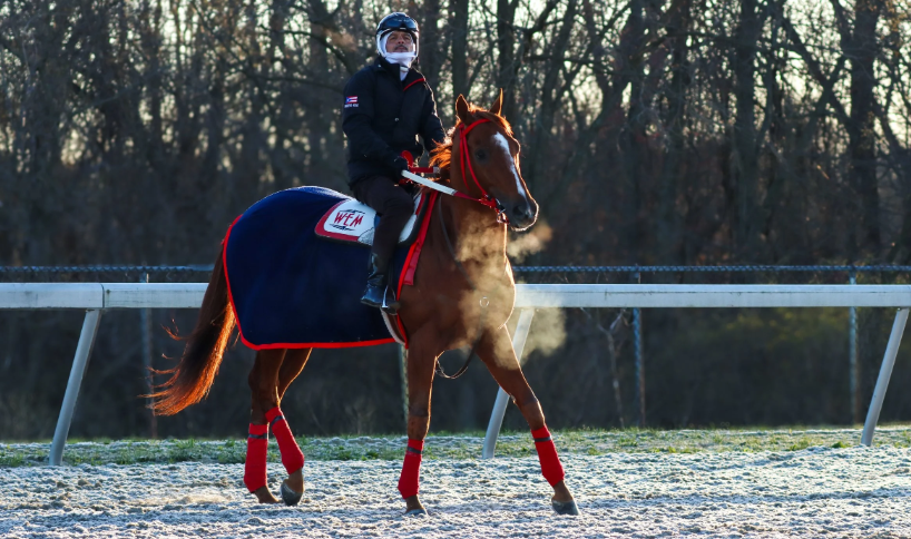 How Horse Racing Influences Pop Culture